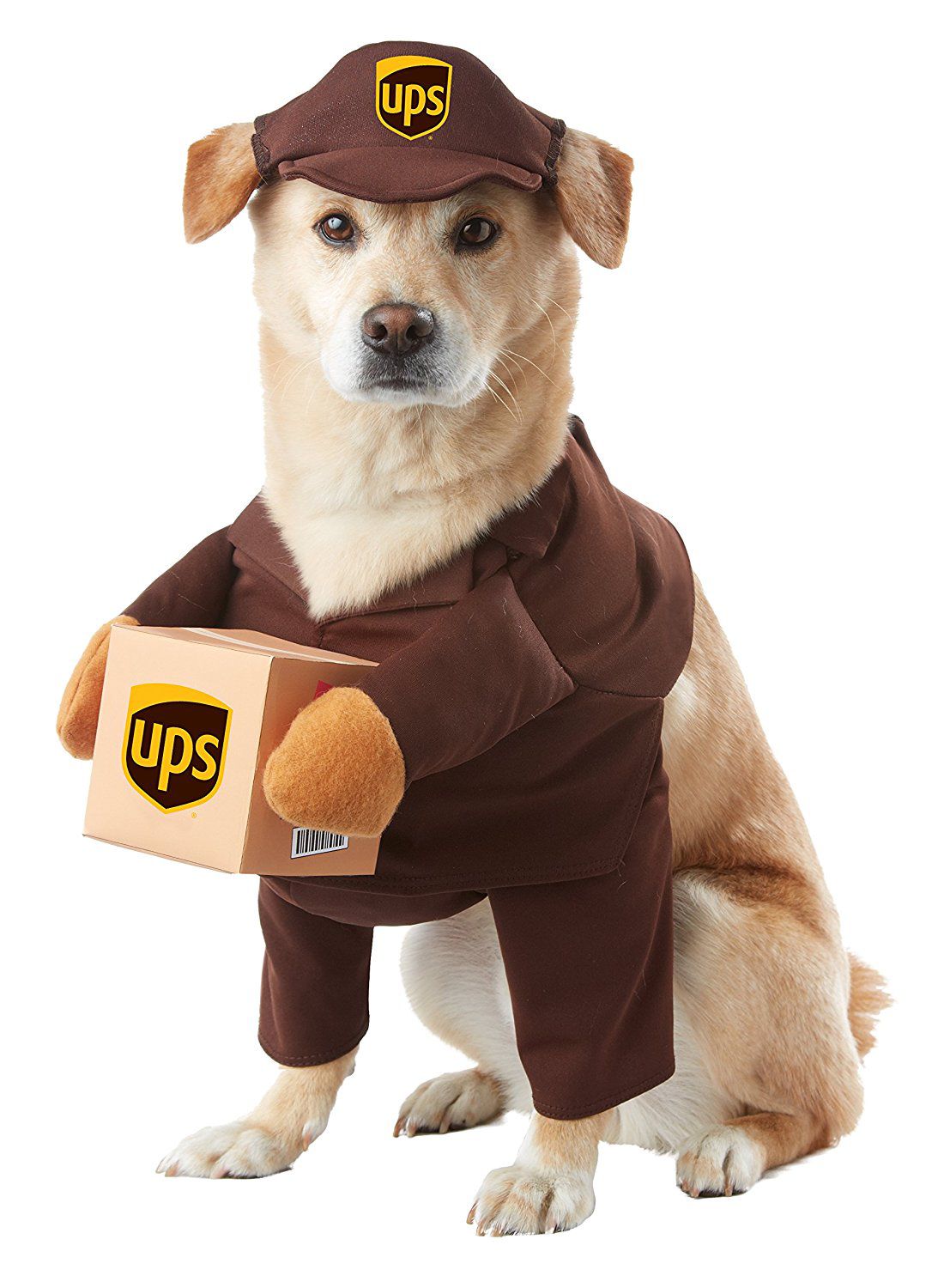 Sam the delivery driver